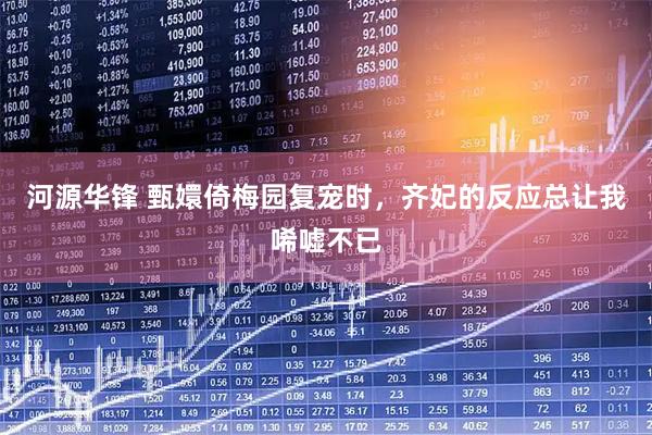 河源华锋 甄嬛倚梅园复宠时,齐妃的反应总让我唏嘘不已
