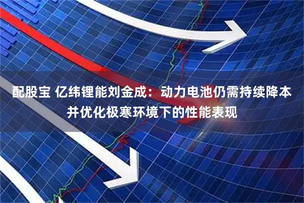配股宝 亿纬锂能刘金成：动力电池仍需持续降本并优化极寒环境下的性能表现