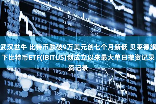 武汉世牛 比特币跌破9万美元创七个月新低 贝莱德旗下比特币ETF(IBITUS)创成立以来最大单日撤资记录