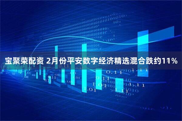 宝聚荣配资 2月份平安数字经济精选混合跌约11%